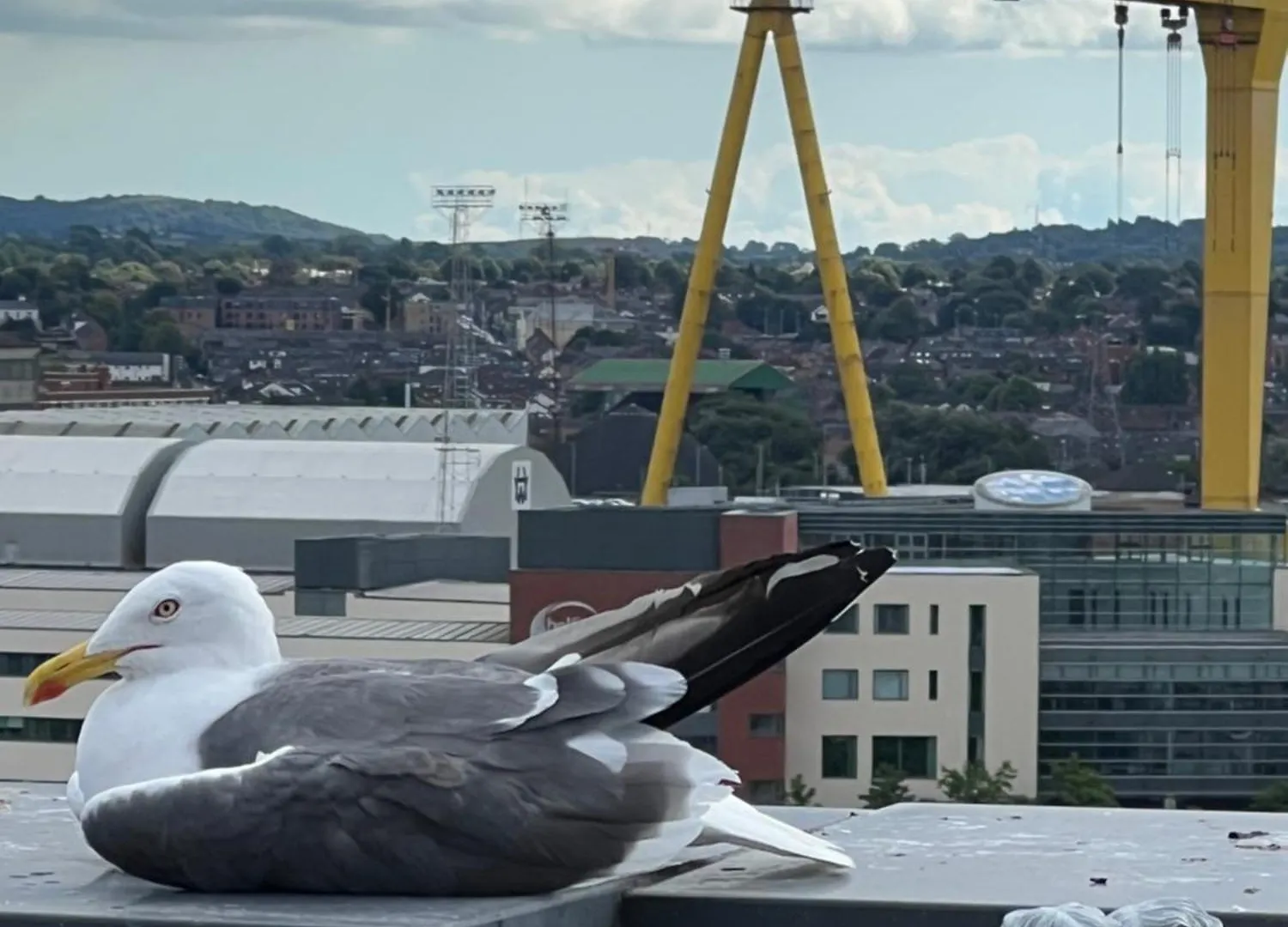 James Clow Bed & Breakfast Belfast